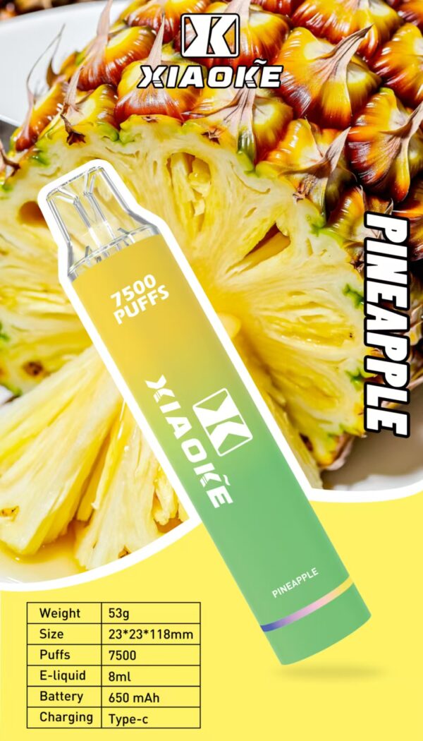 微信圖片_20250309014906.jpg 【XIAOKE 梟客】拋棄式🍬 7500口