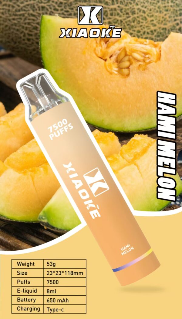 微信圖片_20250309014911.jpg 【XIAOKE 梟客】拋棄式🍬 7500口