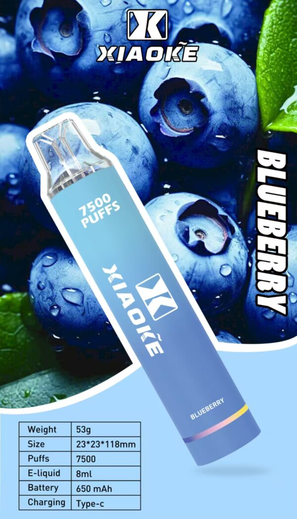 微信圖片_20250309014915.jpg 【XIAOKE 梟客】拋棄式🍬 7500口